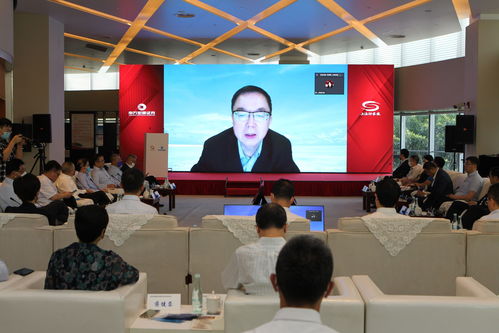 资本市场 经济发展的引擎与社会进步的催化剂