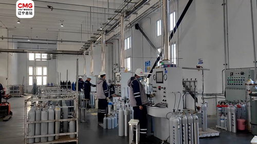 大连特气新工厂建成投产，加速国产化替代步伐引领产业升级